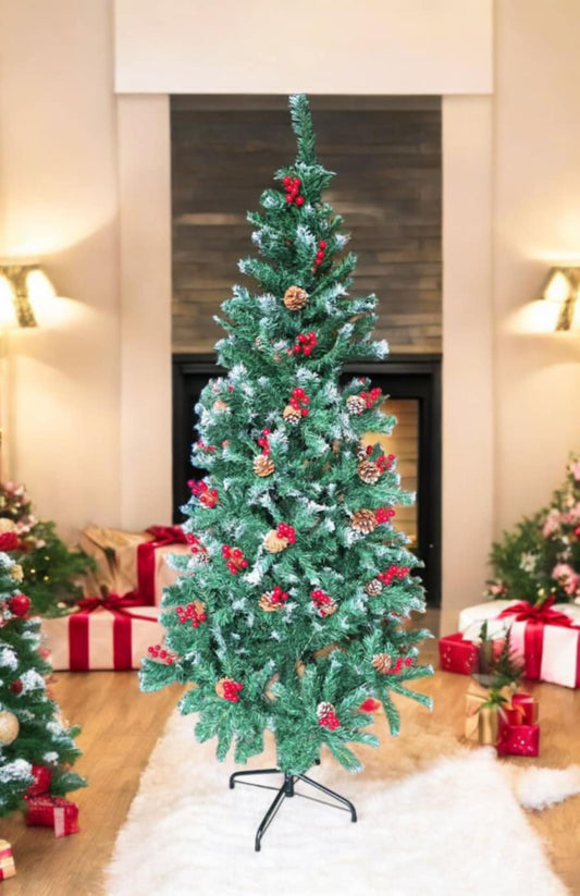 Елха с тънък клон, плодчета и шишарки