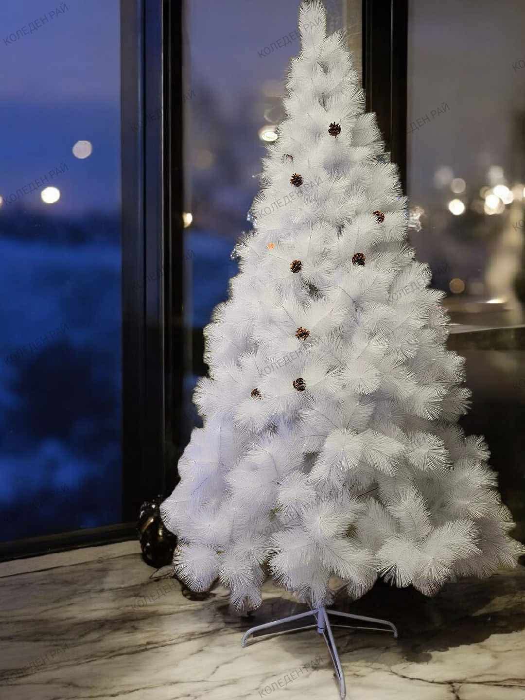 Коледна Елха - Полярна кралица