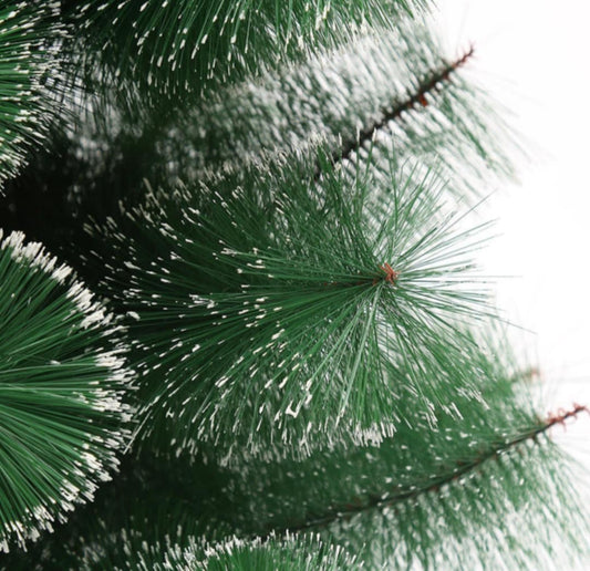 Зелена елха с бели крайчета