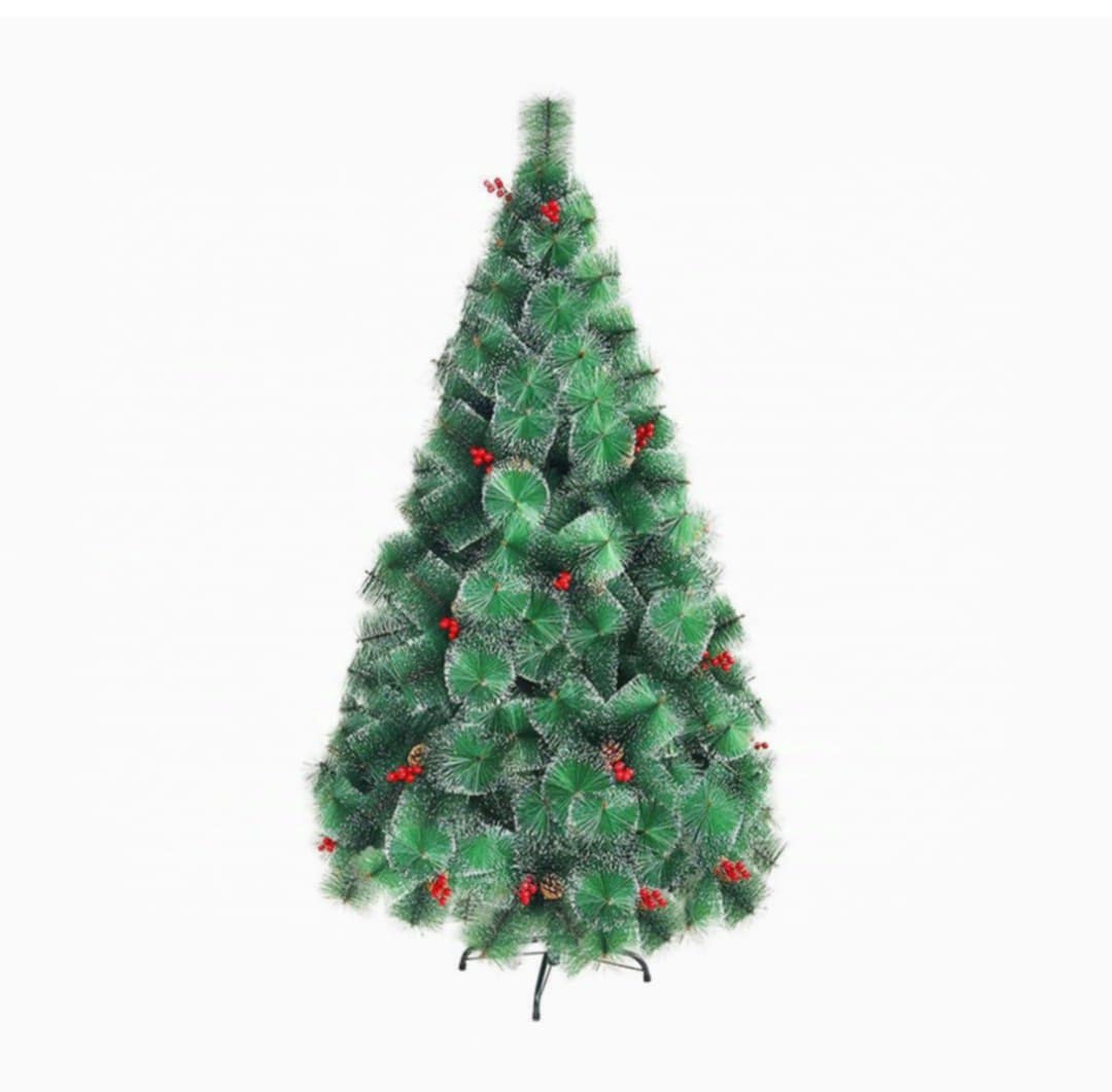 Зелена елха с дебел клон, плодчета и шишарки