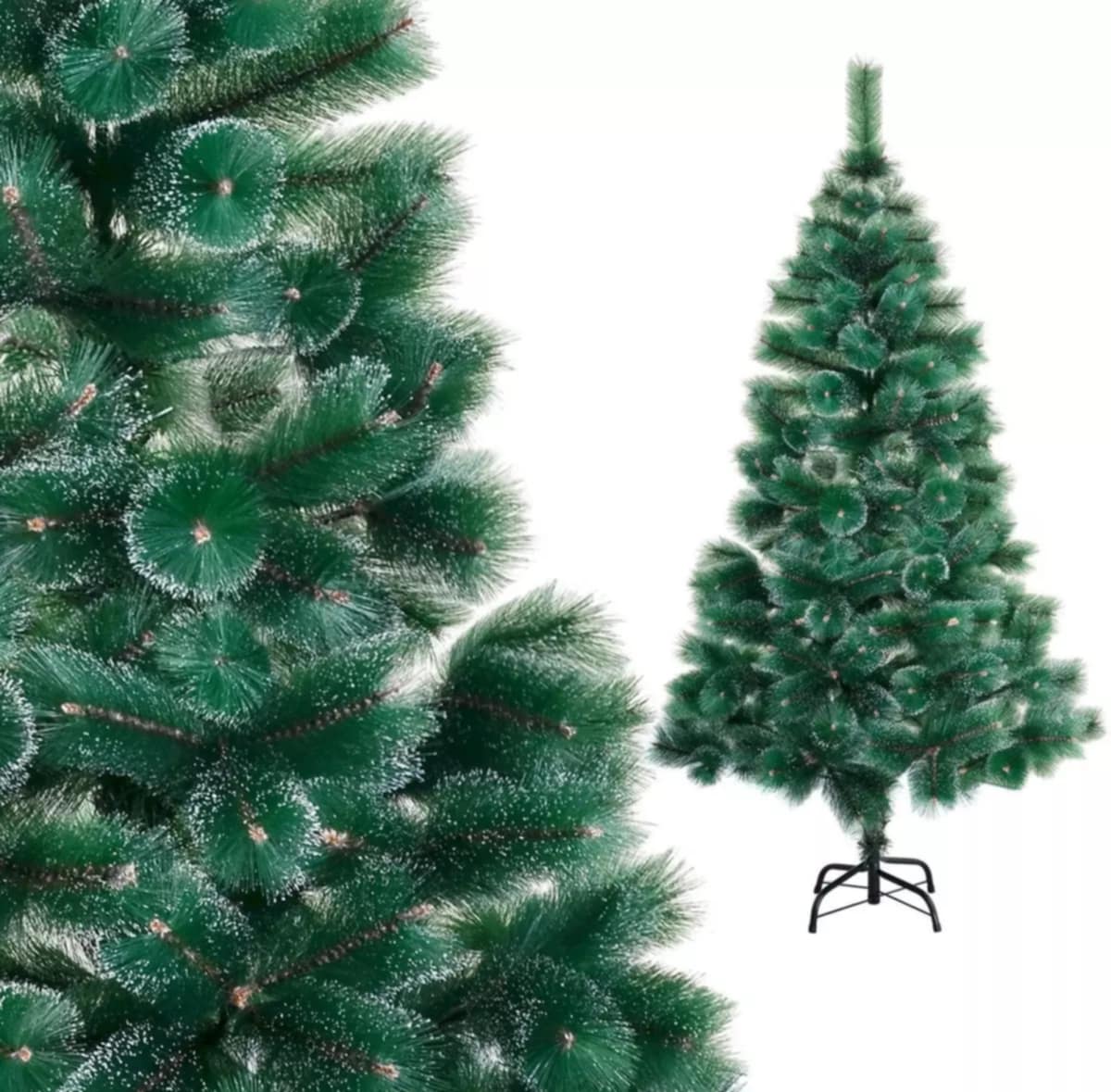 Зелена елха с бели крайчета