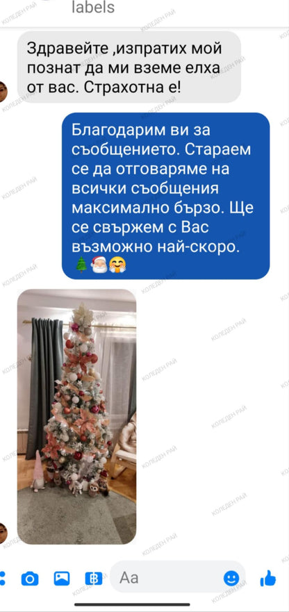 Снежна елха с дебел клон