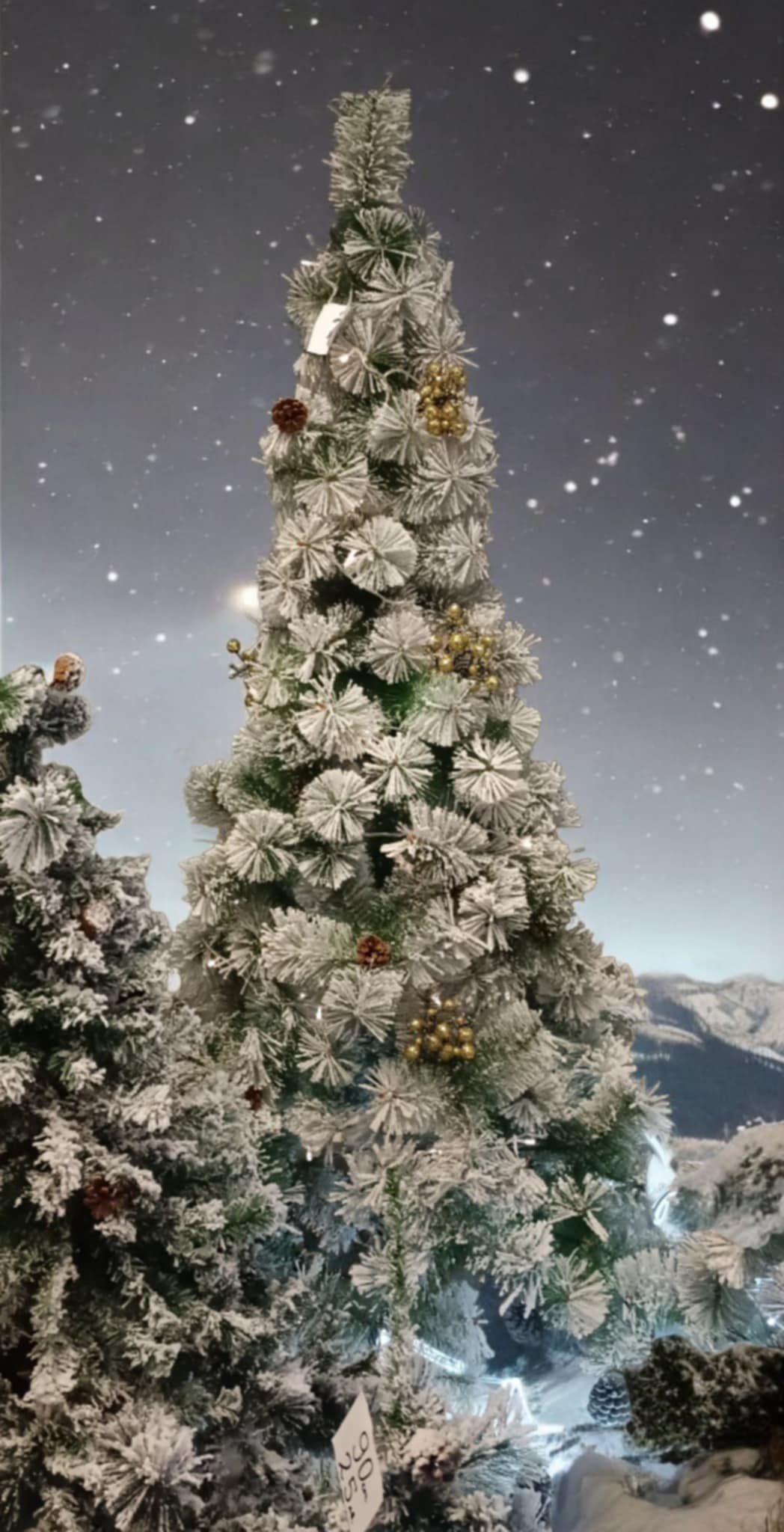 Снежна елха с дебел клон