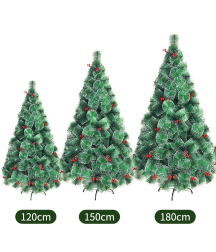 Зелена елха с дебел клон, плодчета и шишарки