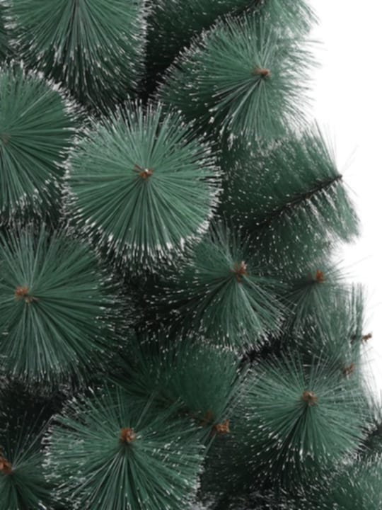 Зелена елха с бели крайчета