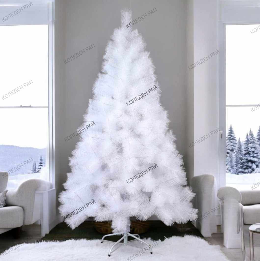 Коледна Елха - Полярна кралица